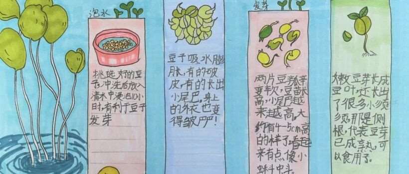 植物的智慧·孩子的成长 | 二年级2025年春季学期自然课程回顾